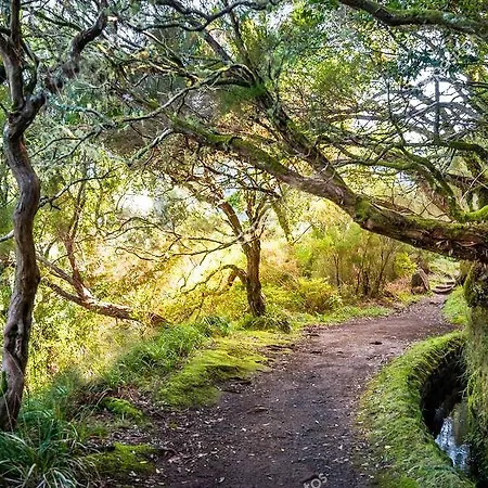 ホテル Solar De 3*