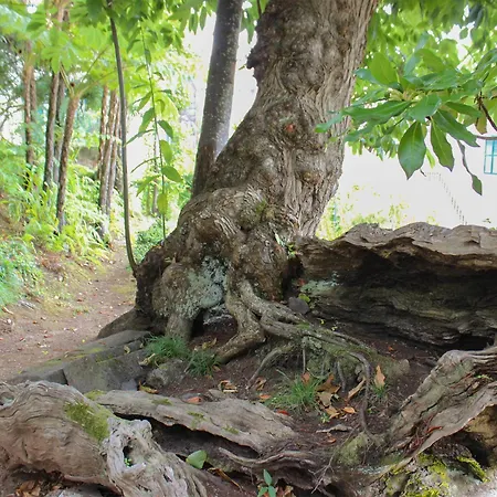 Solar De 3* ボアバントーラ