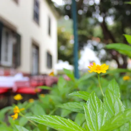 Hotell Solar De Boaventura