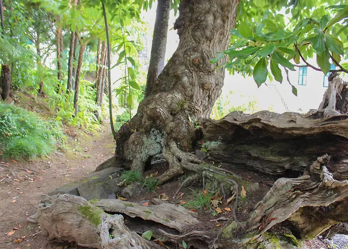 Solar De 3* Boaventura